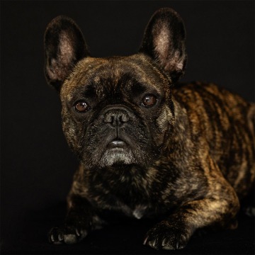 Scotty GreenMatter